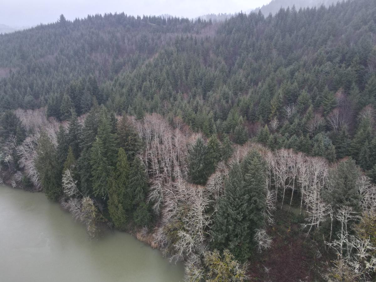 dji_fly_20240121_162626_100_1705883249109_photo