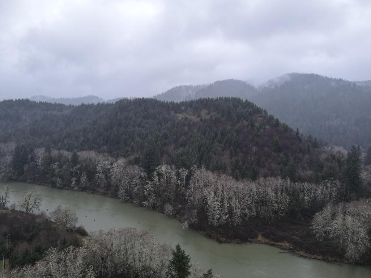 dji_fly_20240121_162726_102_1705883300491_photo