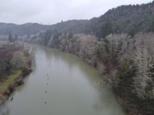 dji_fly_20240121_162836_109_1705883334685_photo