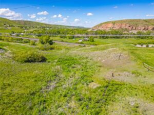 Wilco Great Falls Pattsner Drone -14