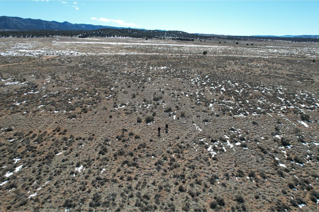 DJI_0016