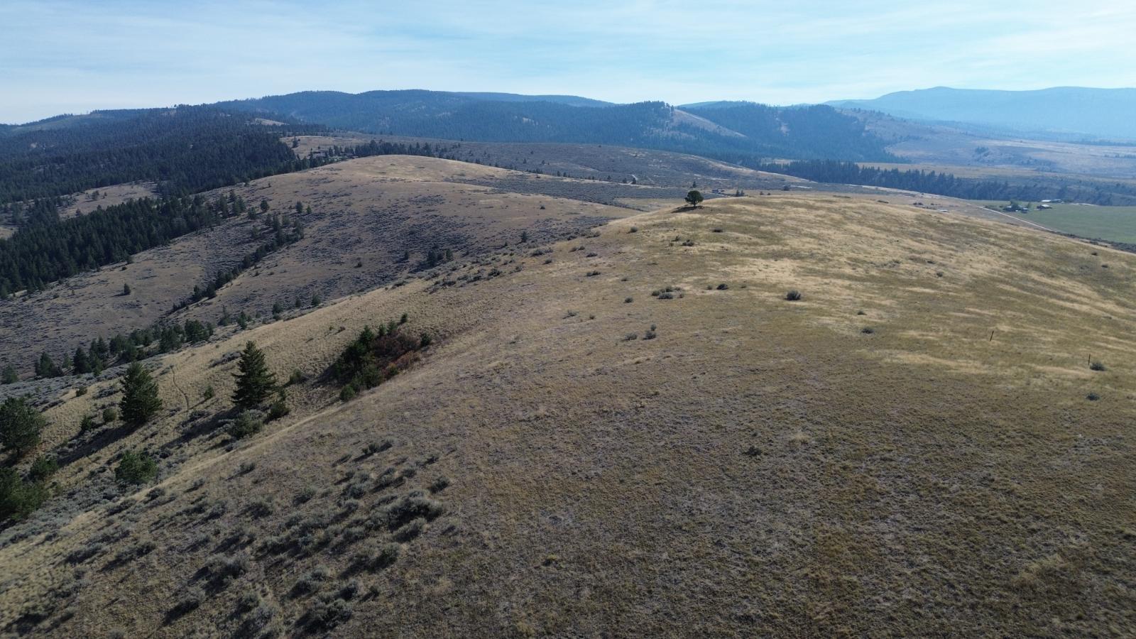 DJI_0931