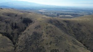 DJI_0939