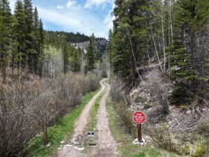 DJI_20250603125557_0002_D