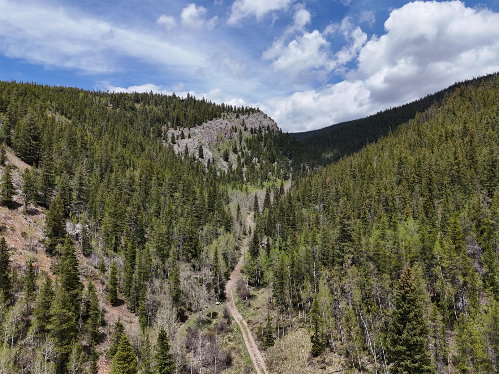 DJI_20250603125612_0003_D