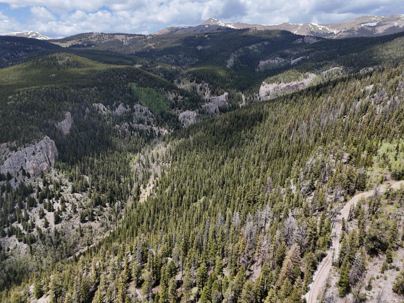 DJI_20250603125856_0009_D