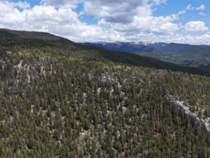 DJI_20250603130209_0012_D
