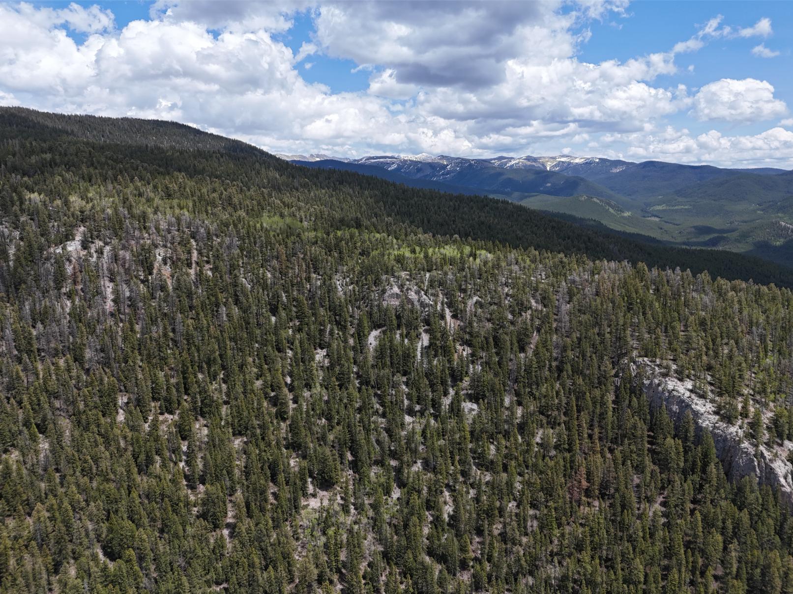 DJI_20250603130209_0012_D