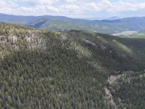 DJI_20250603130526_0020_D