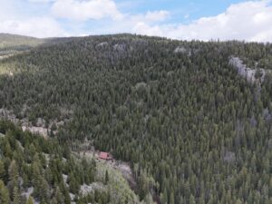 DJI_20250603131040_0030_D