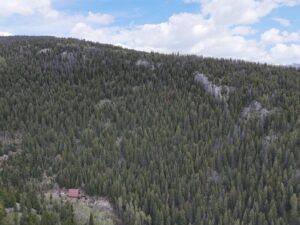 DJI_20250603131056_0032_D