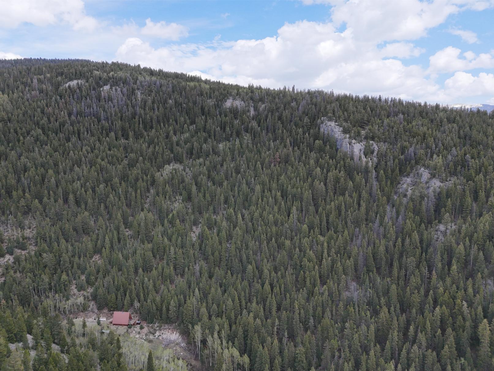 DJI_20250603131056_0032_D