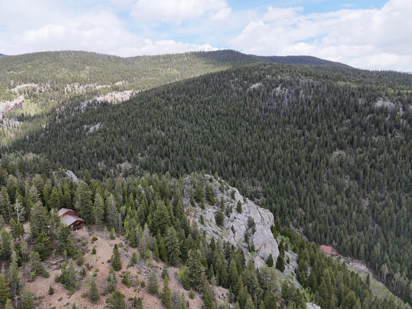 DJI_20250603131134_0034_D