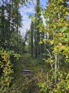 IMG-20250826-WA0008(1)