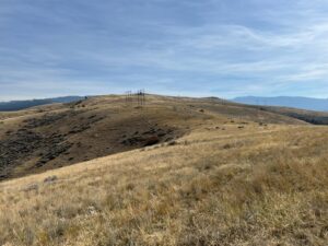 IMG_0484