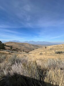 IMG_0491