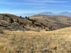 IMG_0511
