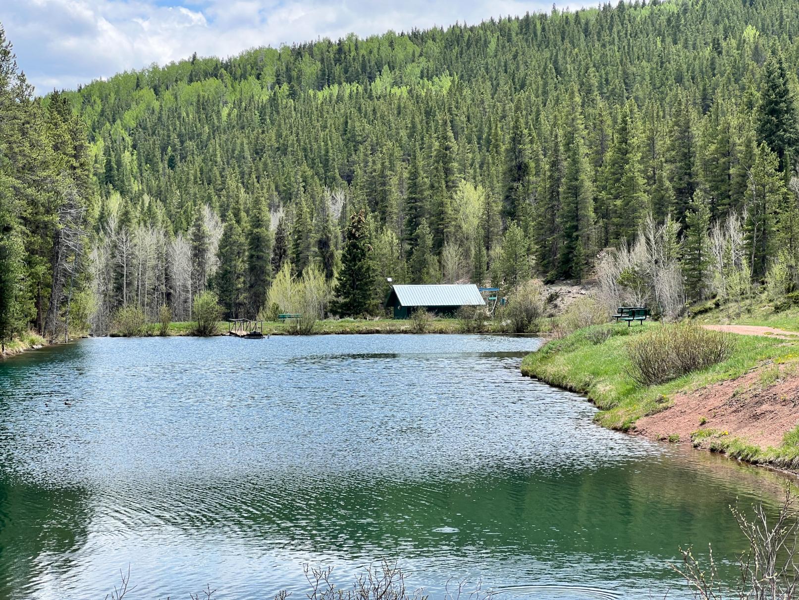 IMG_1472