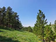 image000002
