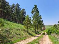 image000009