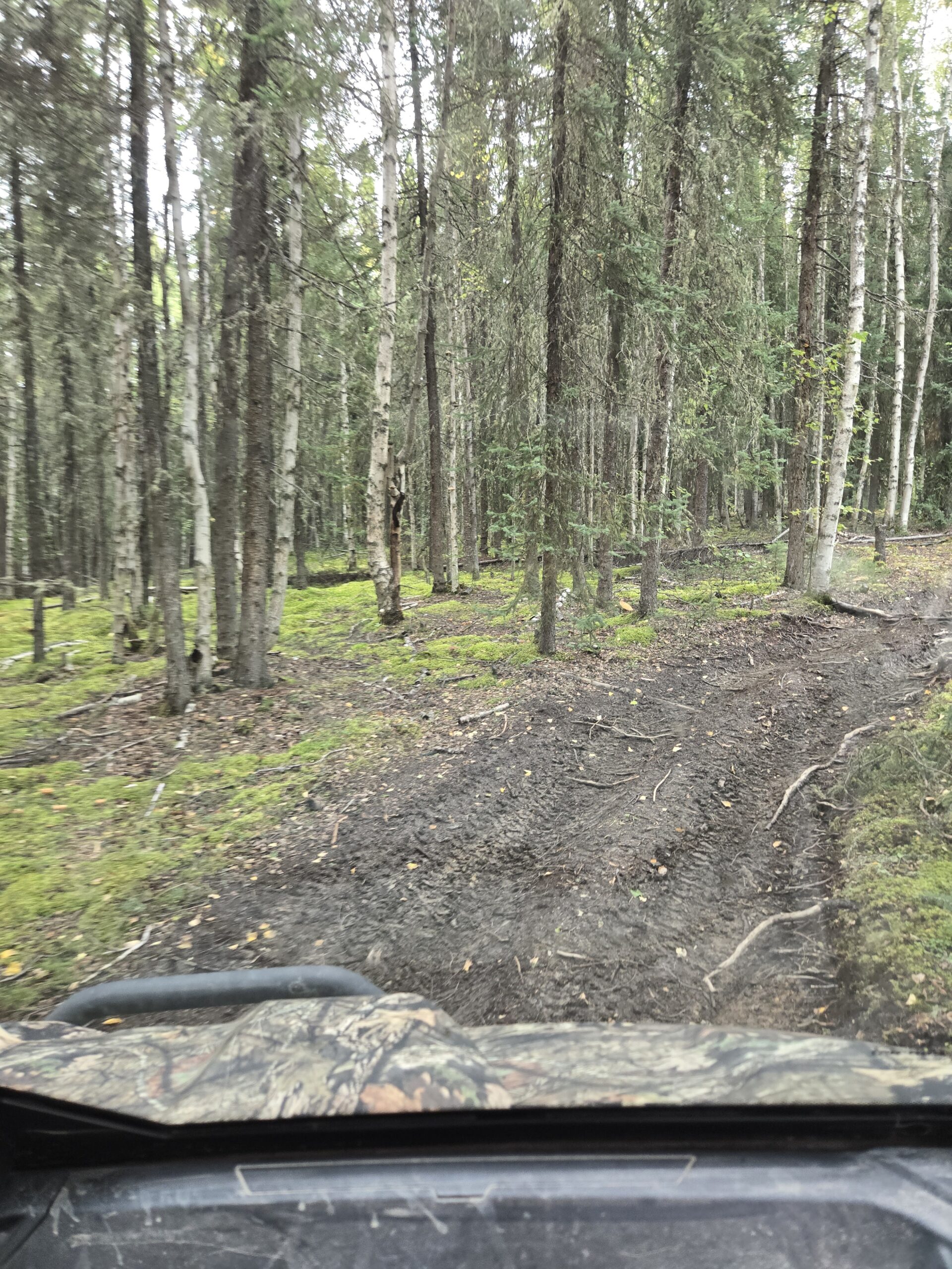 trail to the property