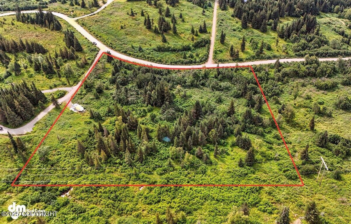 20250805000130069601000000-o