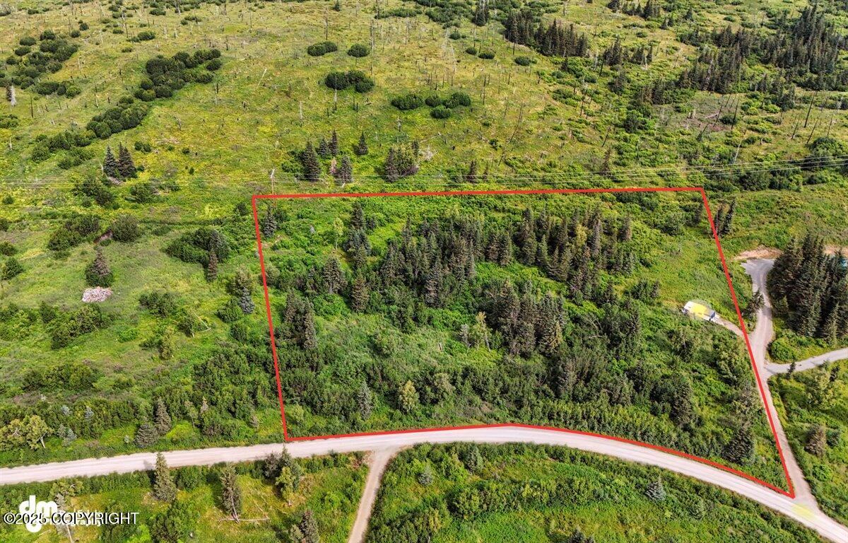 20250805000131311296000000-o