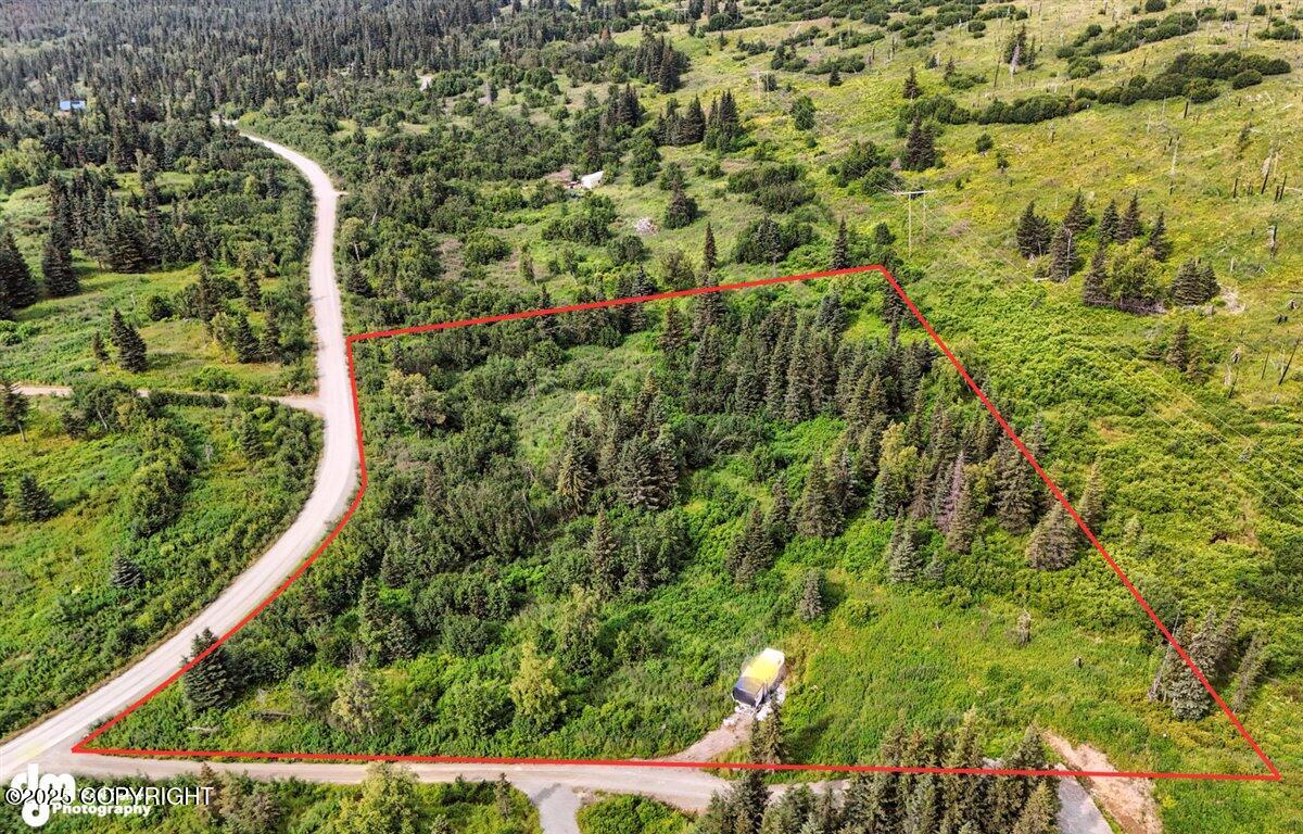 20250805000132506137000000-o