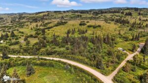 20250805000135739848000000-o