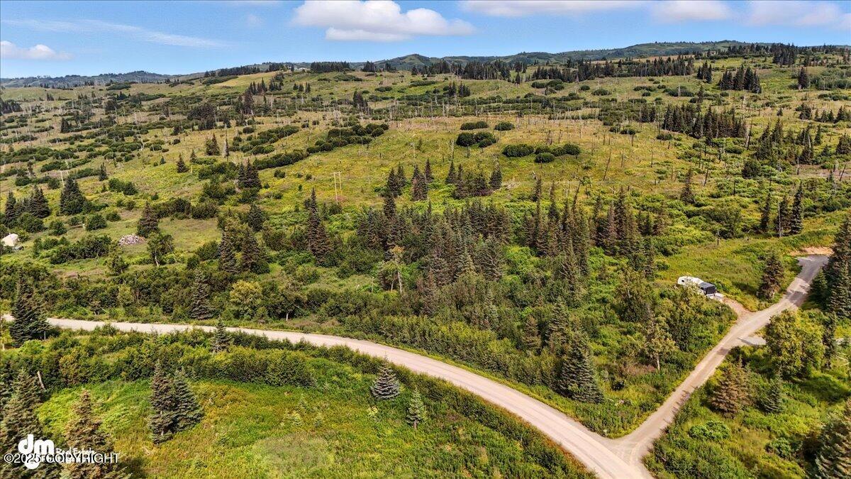 20250805000135739848000000-o