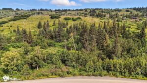 20250805000136449785000000-o