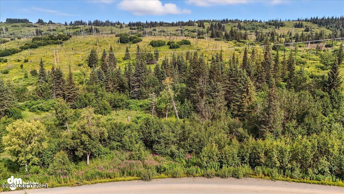 20250805000136449785000000-o