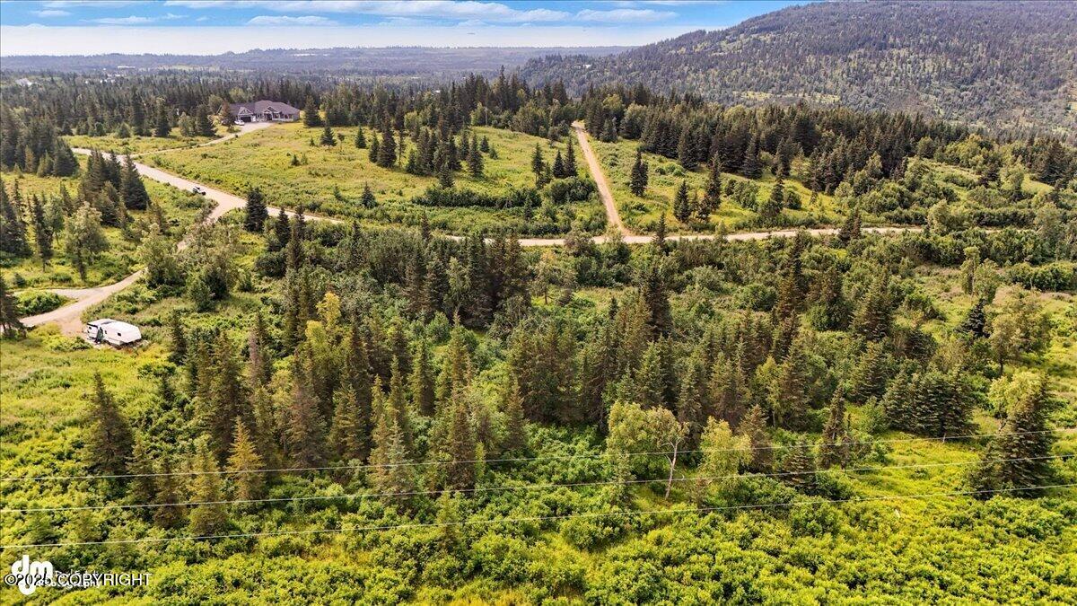 20250805000137166986000000-o