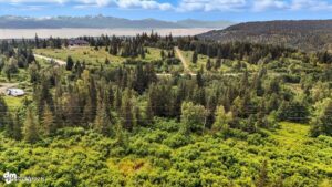 20250805000137809373000000-o