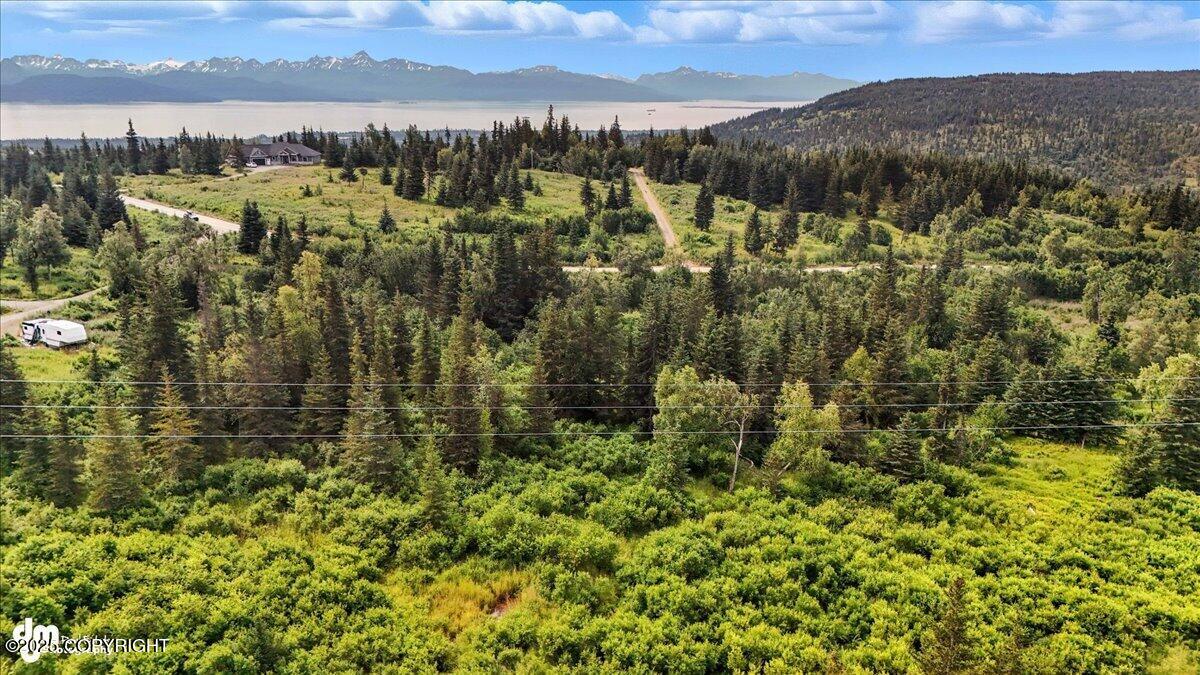 20250805000137809373000000-o