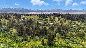 20250805000138439904000000-o