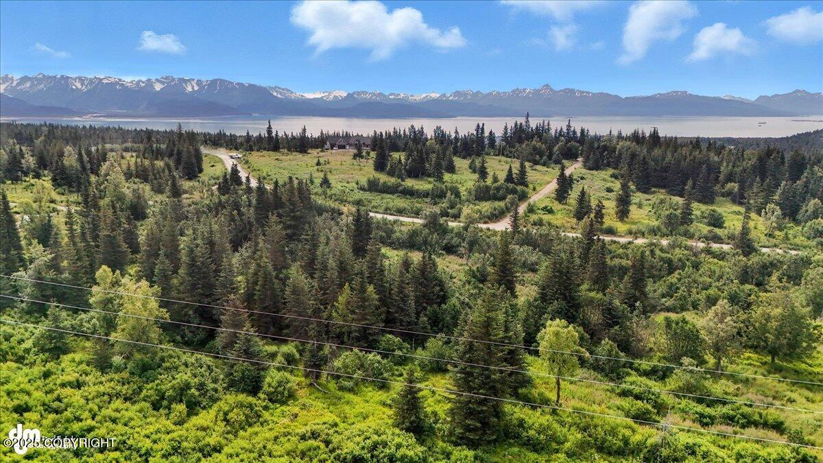 20250805000138439904000000-o