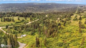 20250805000139840225000000-o