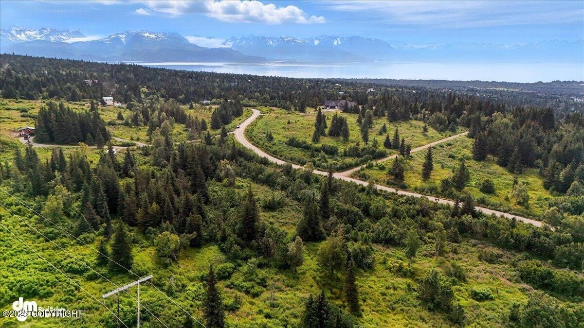 20250805000140624911000000-o