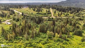 20250805000141349488000000-o