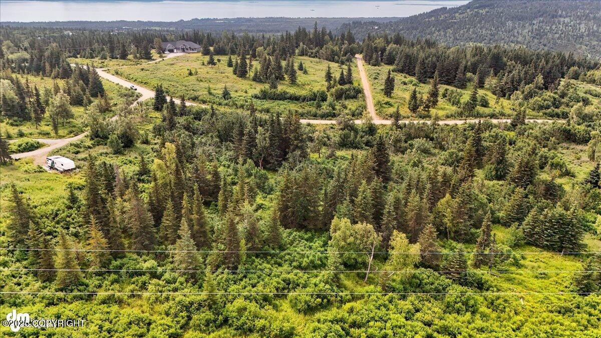 20250805000141349488000000-o