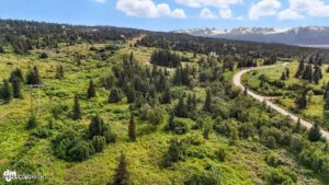 20250805000142713474000000-o