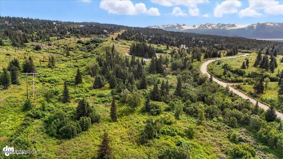 20250805000142713474000000-o