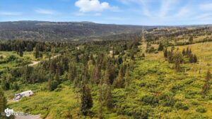 20250805000143346817000000-o