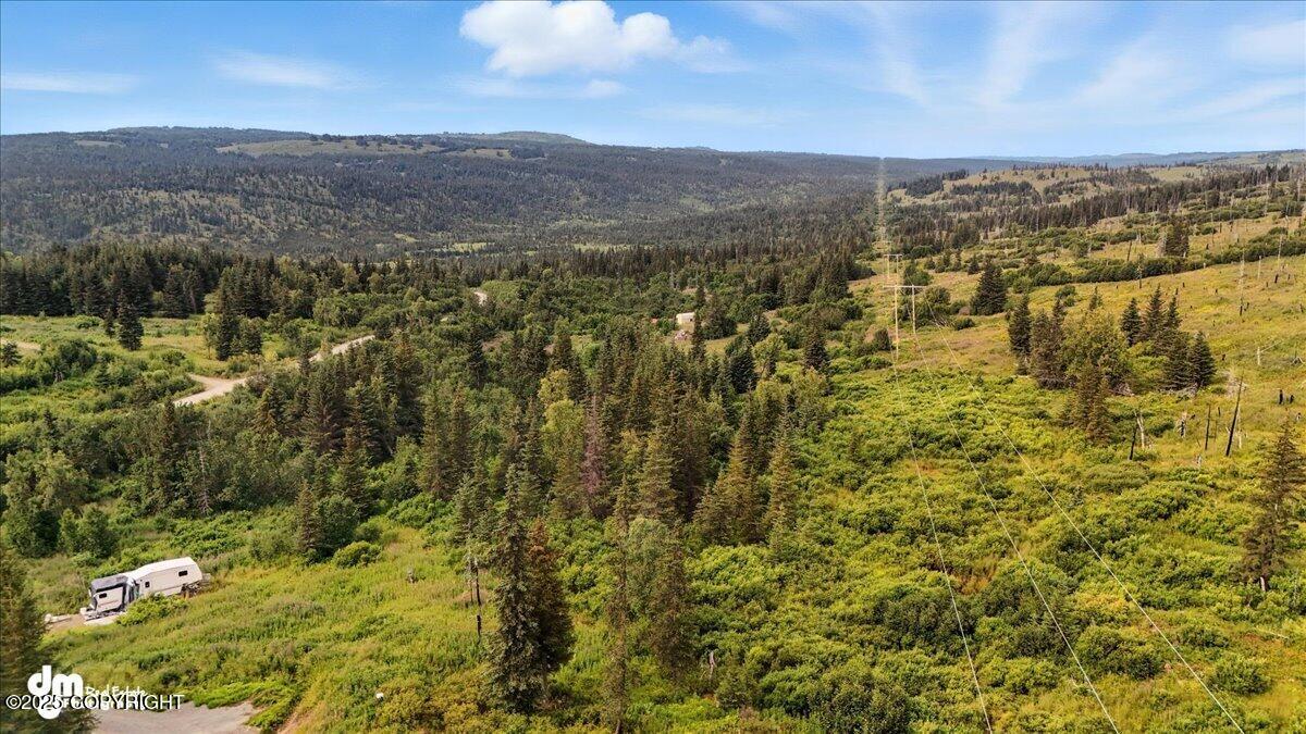 20250805000143346817000000-o