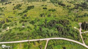 20250805000149253596000000-o