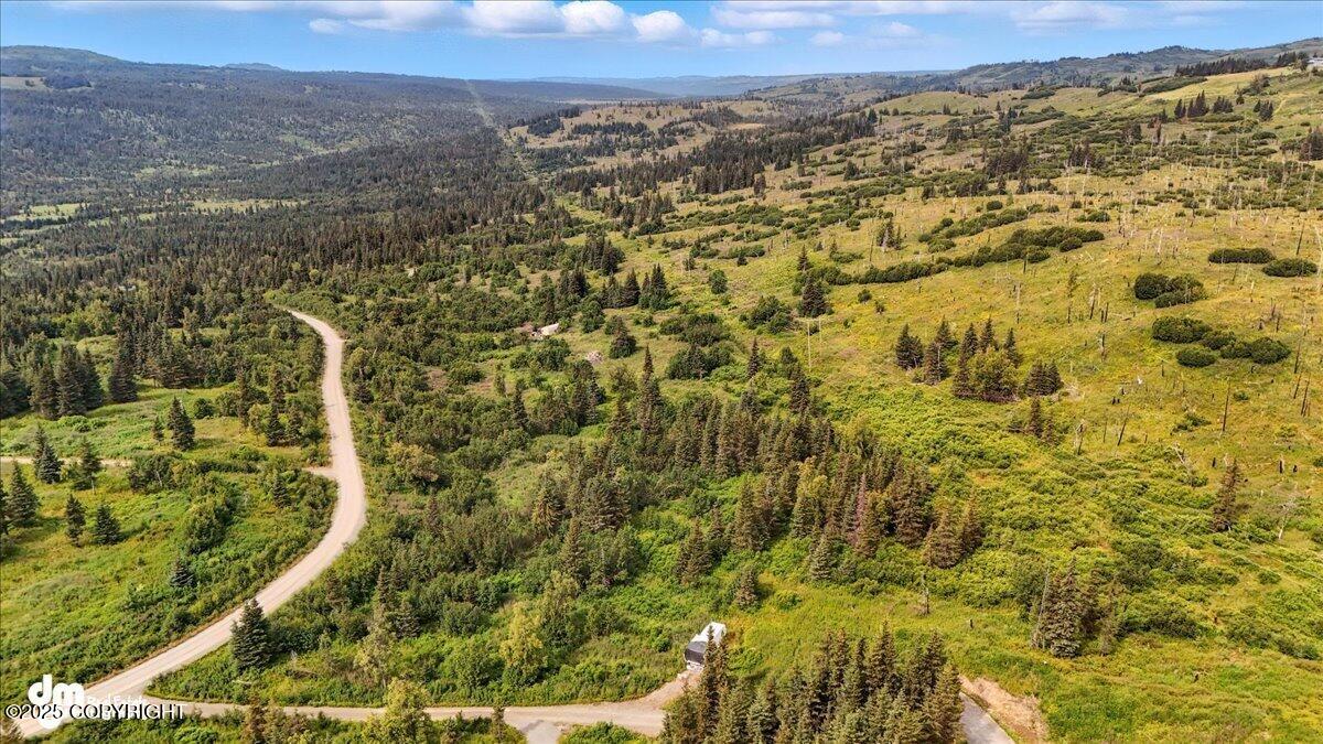 20250805000150794822000000-o