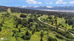 20250805000151618388000000-o