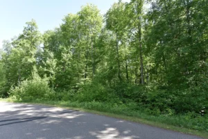 718d1540a5834bec46d12192f97e2157-uncropped_scaled_within_1536_1152