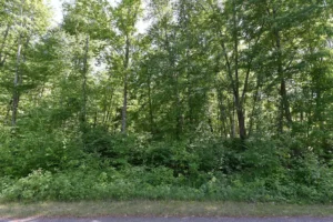 870af8e202e2242812fdd5cc67d4813a-uncropped_scaled_within_1536_1152